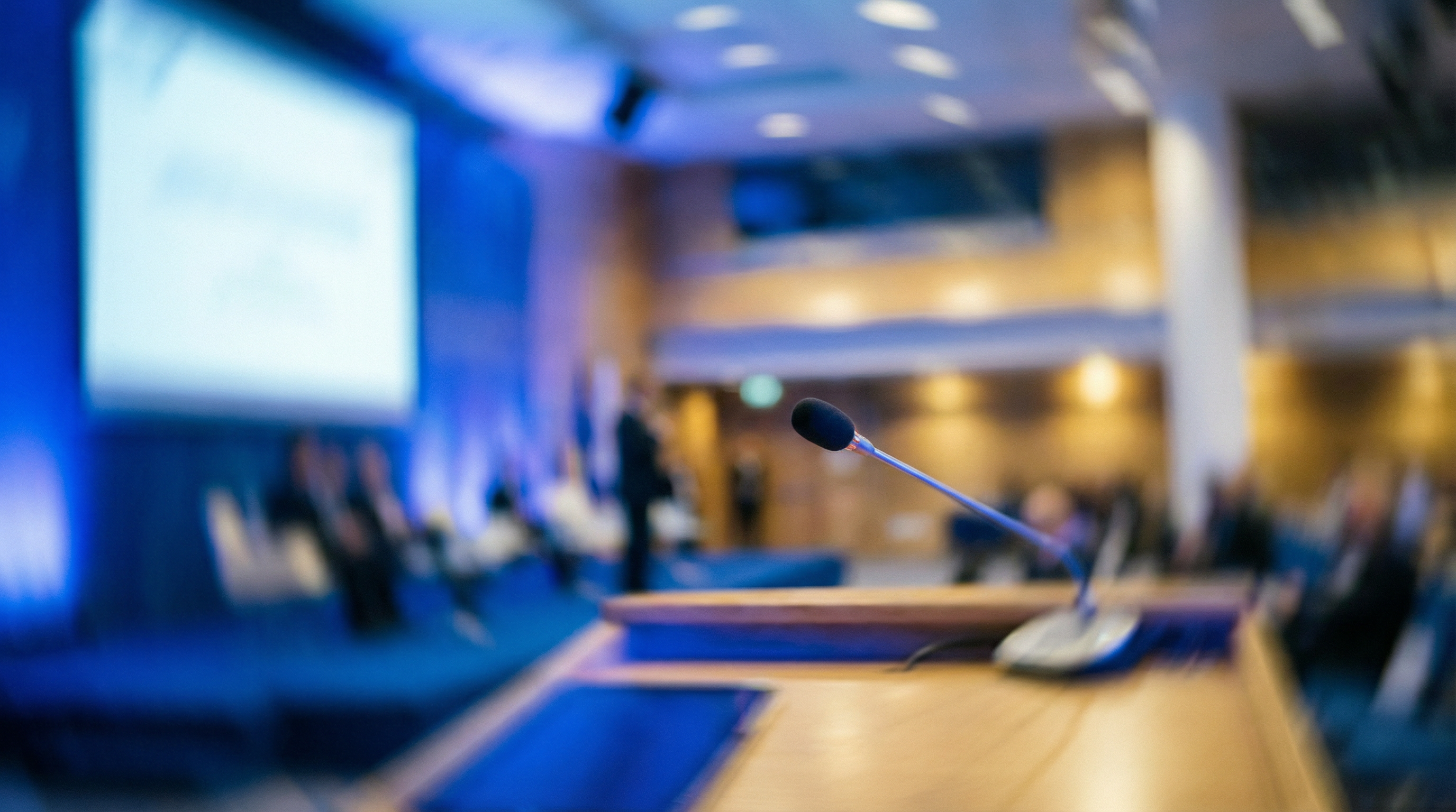 Attività Parlamentare